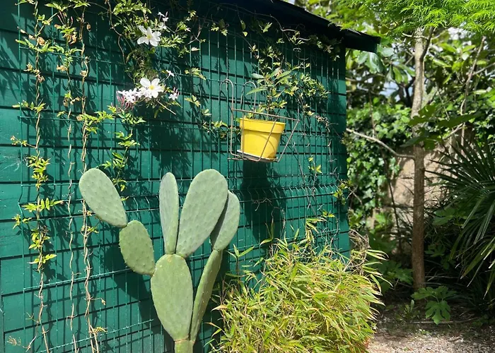 Grand Dans Maison Appartement *